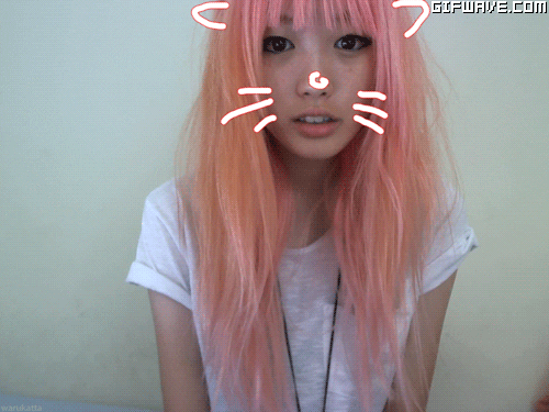 hair color cats gif find share on giphy medium