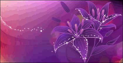 sparkling purple lillies shades of purple pinterest medium