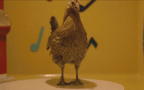 movie scene chicken gif by fandor find share on giphy medium