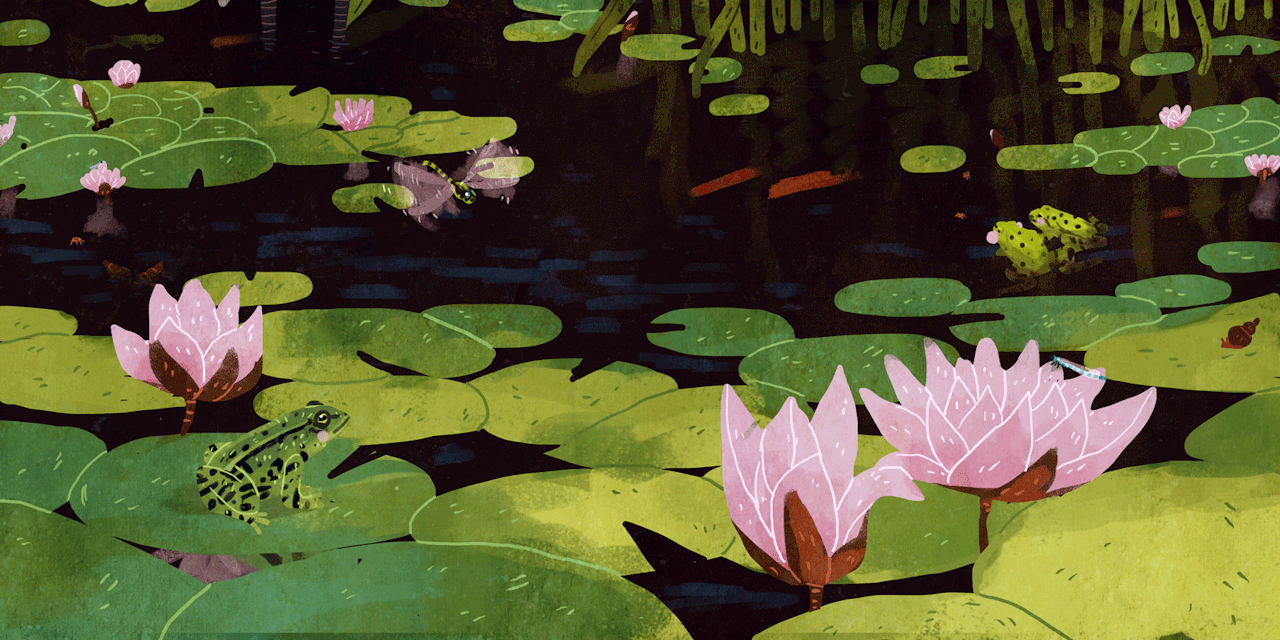 mmepastel i like ponds too water lily pond religious moving background medium