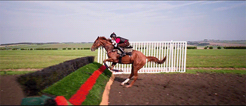 amazing power horse jumping gifs videos pinterest medium