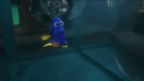 finding dory octopus gif by disney pixar s finding dory find share on giphy medium