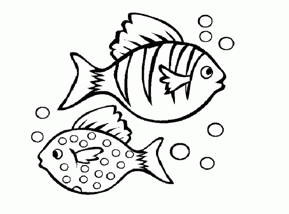 beautiful fish drawing at getdrawings com free for personal use medium