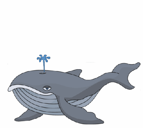 free animated whale download free clip art free clip art medium