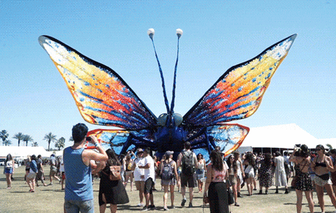 time lapse coachella gif find share on giphy medium