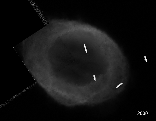 m57 the most detailed image ever taken hubble space telescope astro photo planetary nebula medium