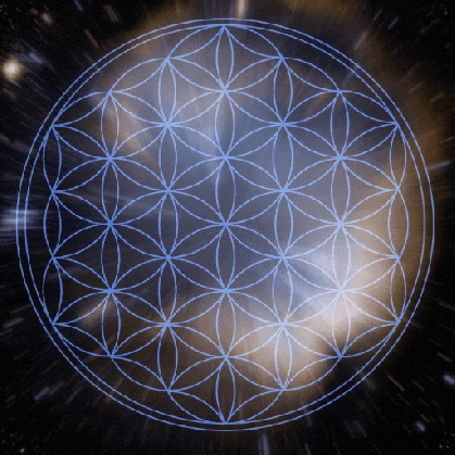 flower of life gifs find share on giphy medium