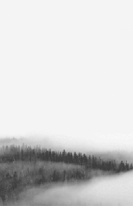 fog gif on tumblr medium