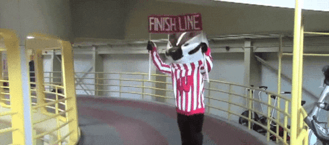 bucky badger gifs find share on giphy medium