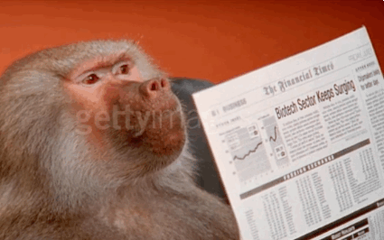 reading newspaper baboon office monkey trending gif on giphy via medium