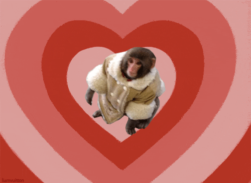 ikea monkey gifs get the best gif on giphy medium