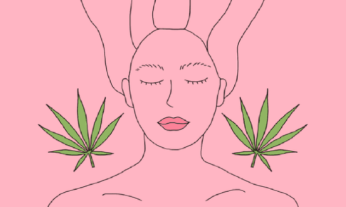 10 best cannabis essential oils potent cartoon skunk clip art medium