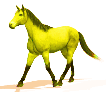 walking horse sticker for ios android giphy medium
