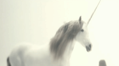 unicorns gif unicorns discover share gifs medium