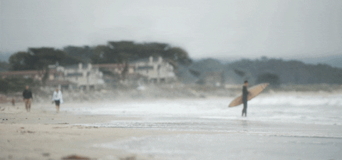 day beach gif find share on giphy medium