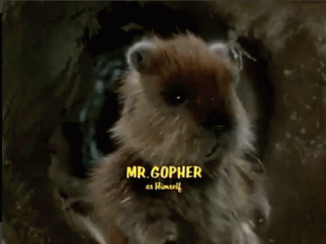mr gopher caddyshack gif caddyshack himself mrgopher discover medium