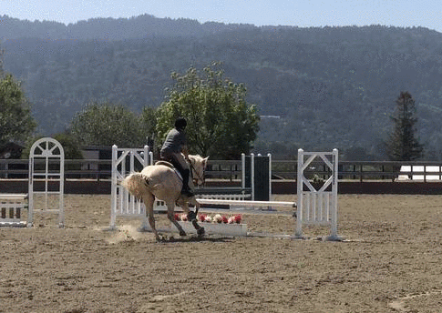 jk presents schooling show jumping rounds diy horse ownership medium