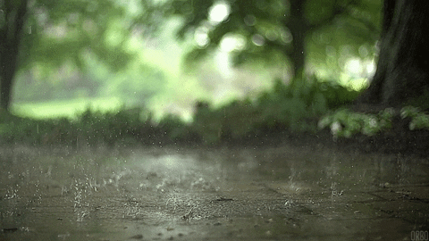 the 20 most beautiful animated rain gifs gif vietdesigner net medium