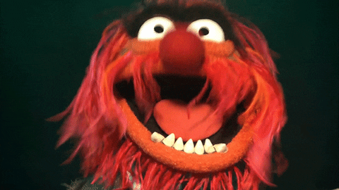 animal muppet gifs get the best gif on giphy medium