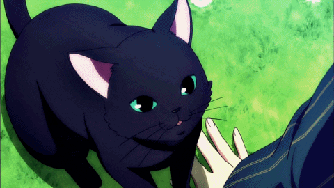 cute anime cat gif anime girl cute with cat by natsuki188 medium