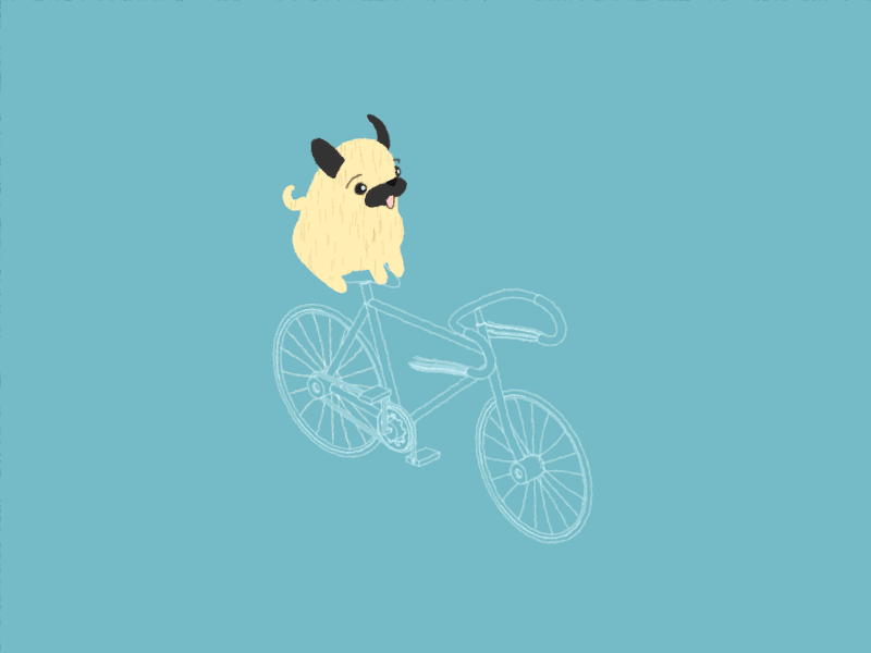 pug on a bike pug gifs animales and dog food medium