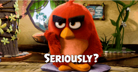 wtf seriously gif by angry birds find share on giphy medium