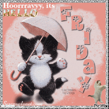 horrraryy its friday pictures photos and images for medium