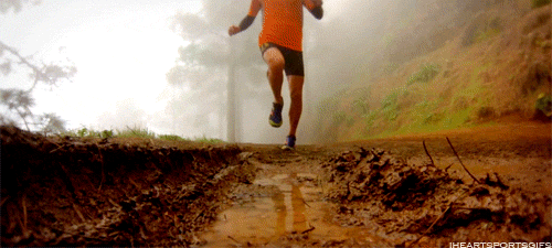 trail running in the san francisco bay area routes medium