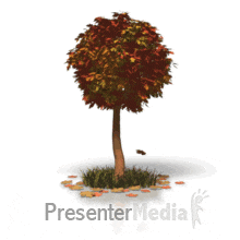 apple falling from tree signs and symbols great clipart for medium