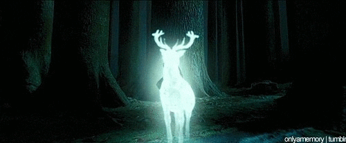 harry potter expecto patronum gif find share on giphy medium