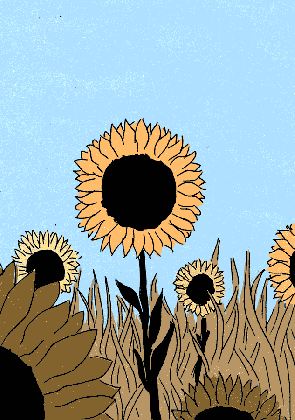 gif sunflower tumblr medium