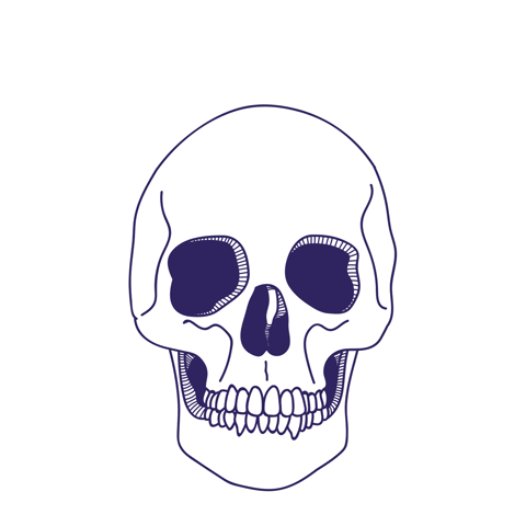 julia guedes via giphy skull mexico fridakhalo illustration medium