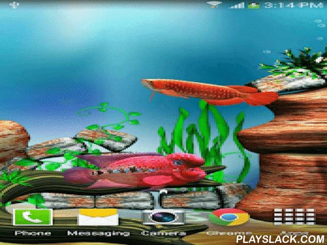 arowana fish 3d live wallpaper android app playslack com arowana medium