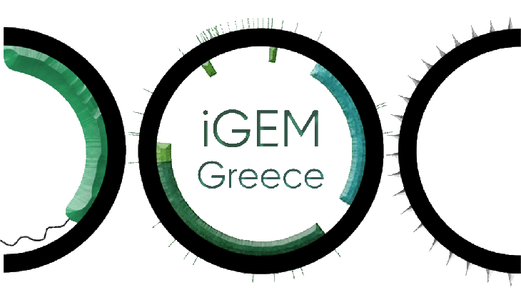 igem greece team medium