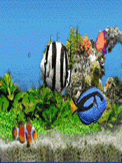 aquarium gif download share on phoneky medium