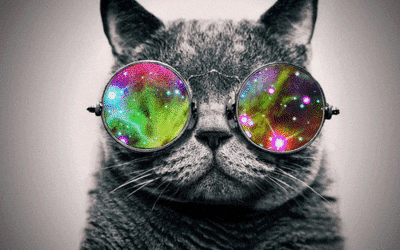 cat galaxy gif find share on giphy medium