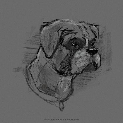 process art dog gif on gifer by akinozragore medium