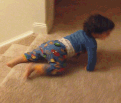 slide lol gif by america s funniest home videos find share on giphy medium