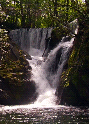 gifs on pinterest nature waterfalls and lana del rey lyrics medium