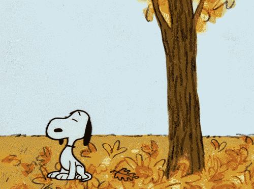 snoopy loves fall pictures photos and images for medium