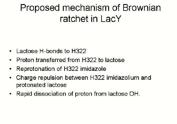 lactose permease h lactose symporter mechanical switch or brownian medium