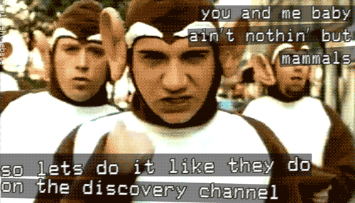 bloodhound gang monkey gif find share on giphy medium