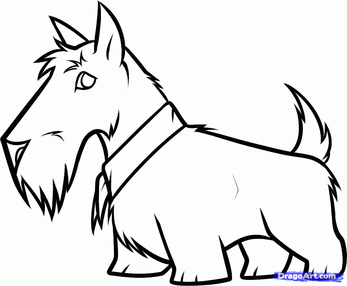 how to draw a scottie dog scottie mania pinterest dog medium