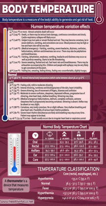 surprising facts about body temperature zoe ruth medium