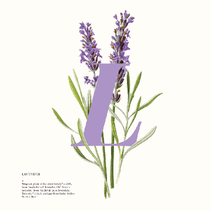 digital illustration charlotte butcher purple floral background medium