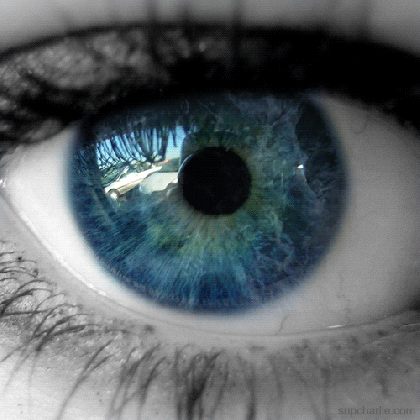 eyeline gif tumblr medium