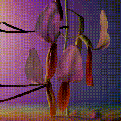 flume x jonathan zawada semi permanent love neon artwork medium