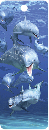 3d dolphins 16276 sea creatures pinterest 3d animal and ocean medium