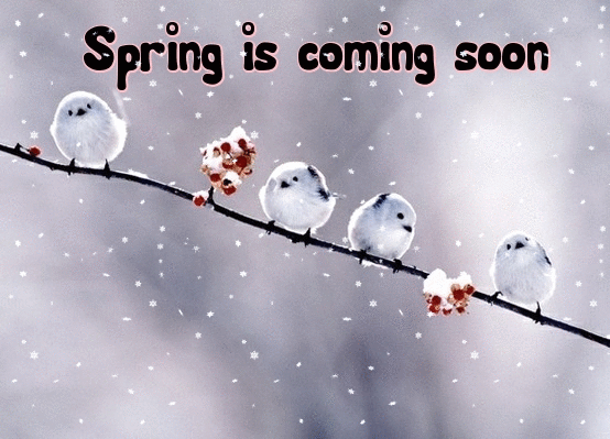spring is coming picture quotes for facebook quotesgram medium