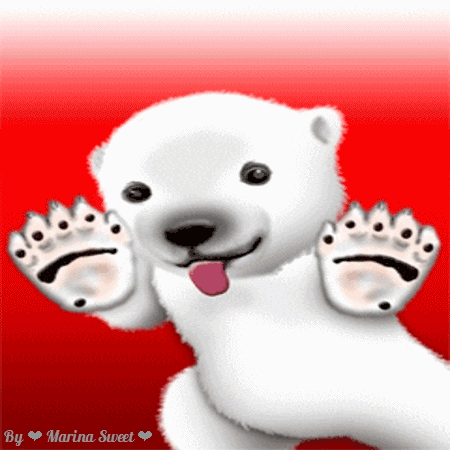 oso polar animal en peligro de extinci n animals animated gifts medium
